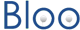 Bloo בנית אתרים